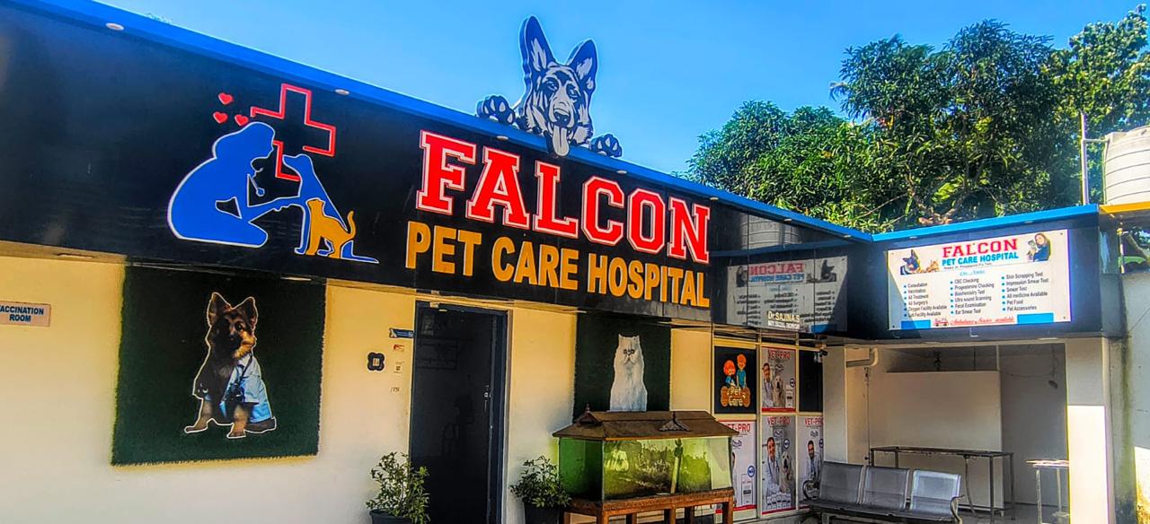 FALCON PET CARE HOSPITAL Photo 4